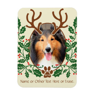 Ímã Os Antlers do Natal para o cão/gato personalizam 
