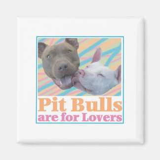 Imã Os Bulls de Pit são para Amantes