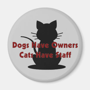 Imã Os cães têm gatos dos proprietários… ter