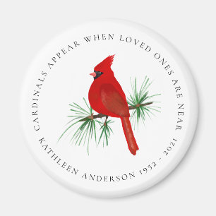 Imã Os Cardeais Aparecem Quando Os Amados Estão Perto