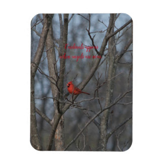 Ímã Os Cardinais do Magnet aparecem quando os anjos es