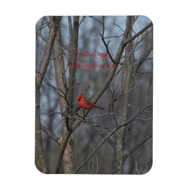 Ímã Os Cardinais do Magnet aparecem quando os anjos es (Vertical)