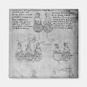 Imã Os descendentes do condessa Anne, c.1483