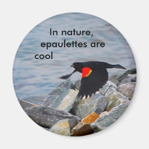 Imã Os Epaulettes são legal - ímã