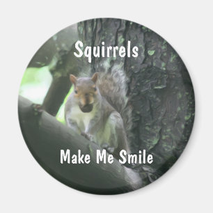 Imã Os esquilos fazem-me o ímã do animal do sorriso