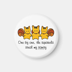 Imã Os esquilos roubam minha sanidade