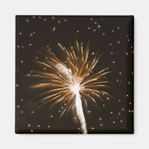 Imã Os fogos-de-artifício indicam em Savannah River