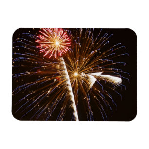 Ímã Os fogos-de-artifício indicam em Savannah River 2
