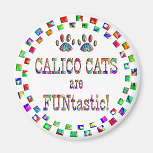 Imã Os gatos de chita são FUNtastic