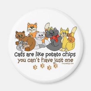 Imã Os gatos são como microplaquetas de batata