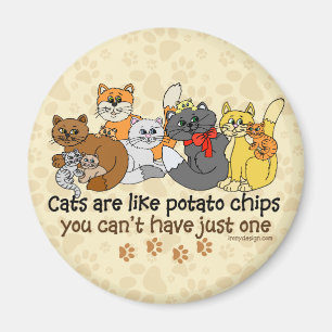 Imã Os gatos são como microplaquetas de batata