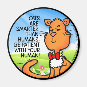 Imã Os Gatos São Mais Inteligentes