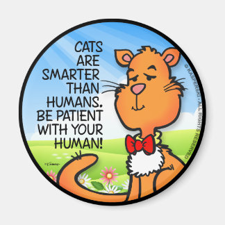 Imã Os Gatos São Mais Inteligentes