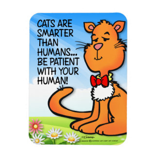 Ímã Os Gatos São Mais Inteligentes