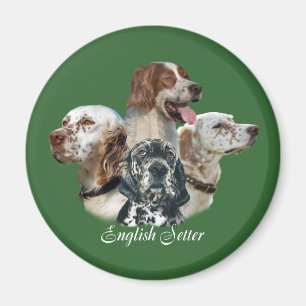 Imã Os ingleses SetterCan't têm apenas um ímã