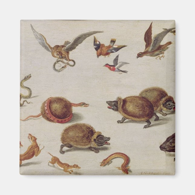 Imã Os inimigos dos Cobras (Frente)