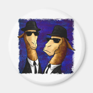 Imã Os Irmãos Lama