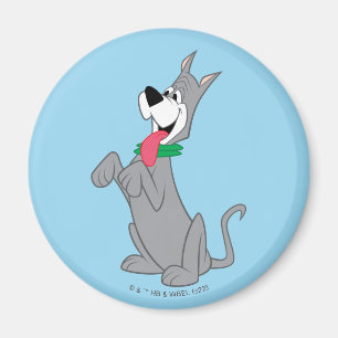 Imã Os Jetsons   Astro Seu Cão