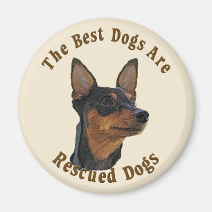 Imã Os melhores cães são salvados - Pinscher diminut