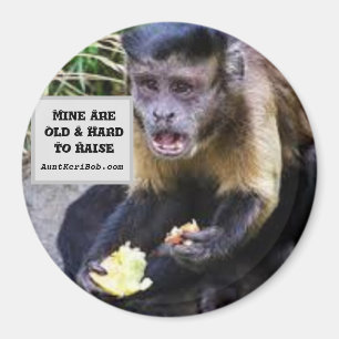 Imã Os meus são duros de levantar