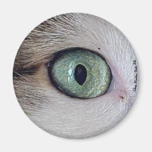 Imã "Os Olhos Têm" íman de olho de gato
