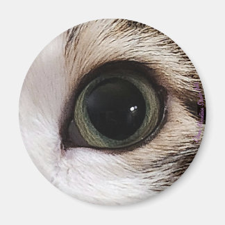 Imã "Os Olhos Têm" olho de gato #2 ímã