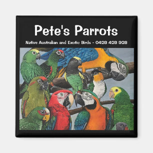 Imã Os papagaios de Pete - Magneta nativa e exótica