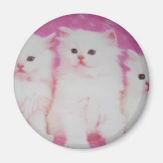 Imã Os próximos modelos mais importantes da América