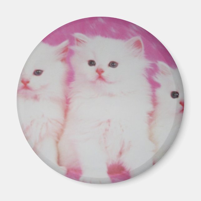 Imã Os próximos modelos mais importantes da América (Frente)