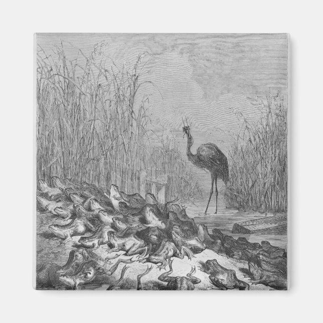 Imã Os sapos que pedem um rei. (Frente)