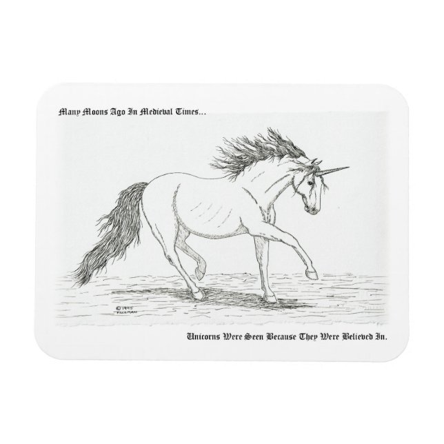 Ímã Os Unicórnios São Reais (Horizontal)