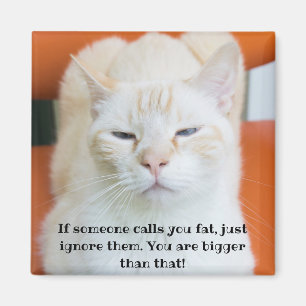 Imã Oscar, o Insulto Gato Engraçado