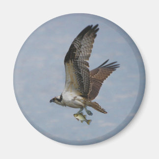 Imã Osprey