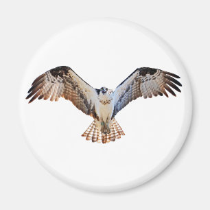 Imã Osprey