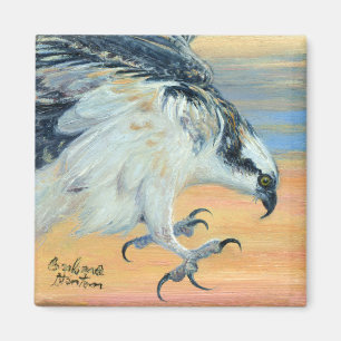 Imã "Osprey Landing"