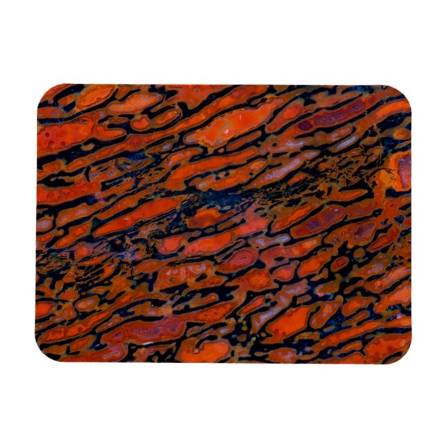 Ímã Osso de dinossauro petrificado vermelho (Horizontal)