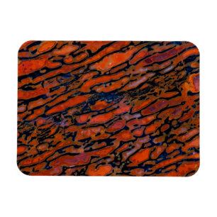 Ímã Osso do dinossauro Vermelho Petrificado