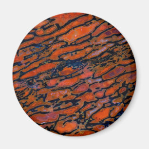 Imã Osso do dinossauro Vermelho Petrificado