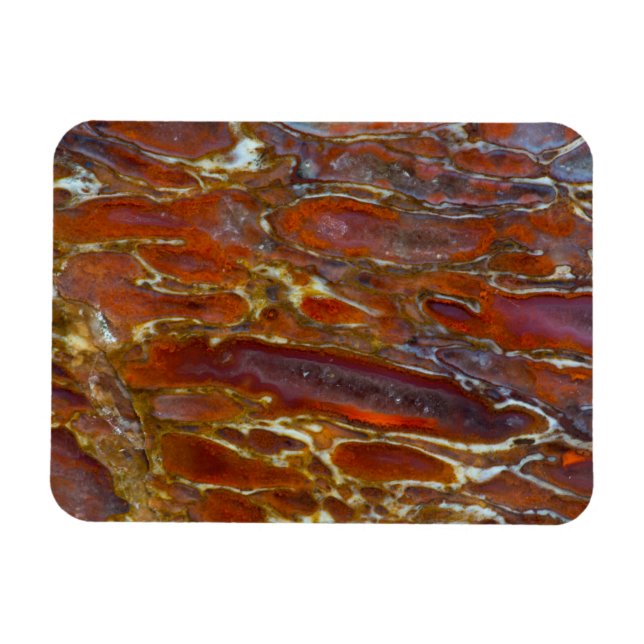 Ímã Osso Petrificado de Dinossauro (Horizontal)