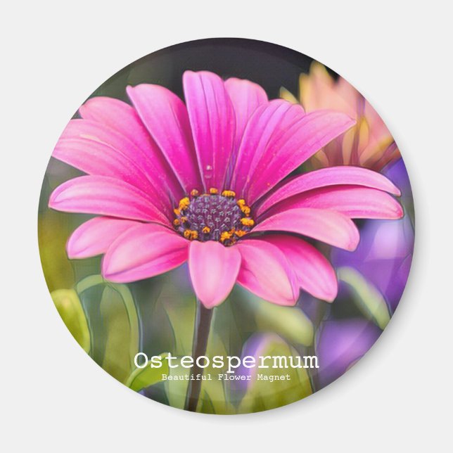 Imã Osteospermum (Frente)