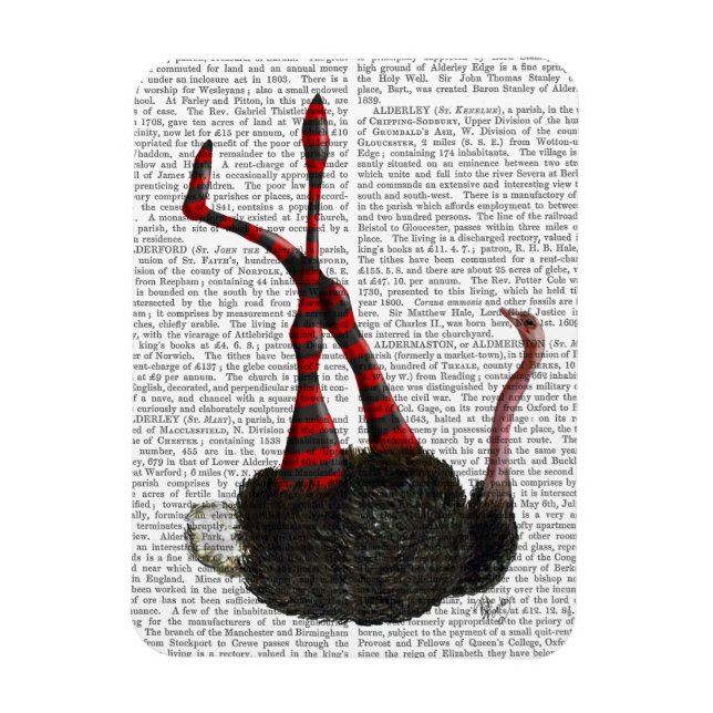 Ímã Ostrich com Leggings (Vertical)