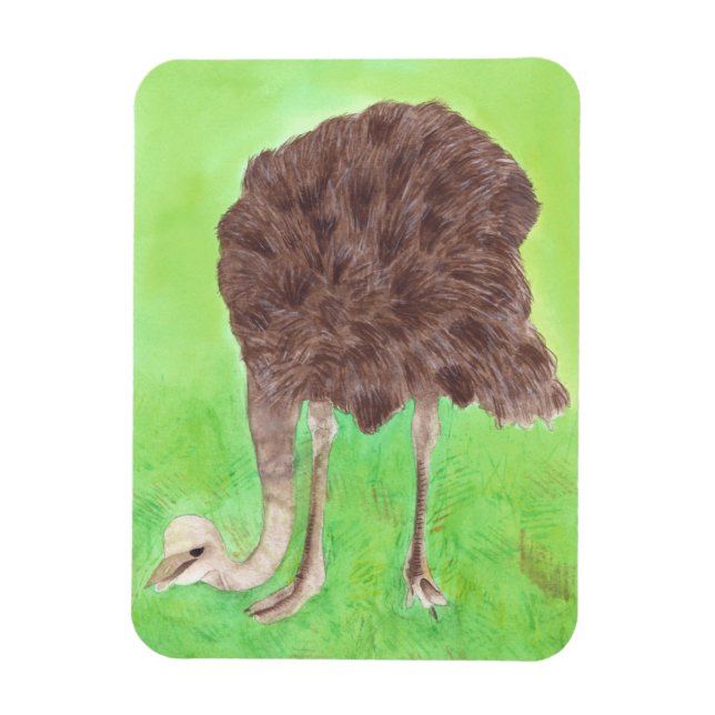 Ímã Ostrich Eating, Watercolor Painting Magnets (Vertical)
