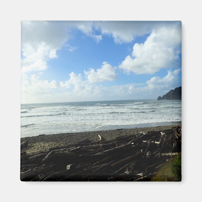 Imã Oswald West State Park, Costa do Oregon (Frente)