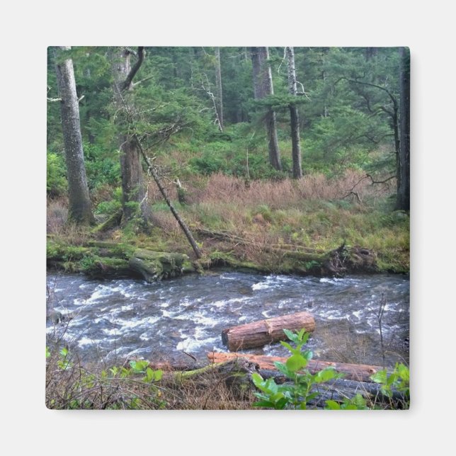 Imã Oswald West State Park, Costa do Oregon (Frente)