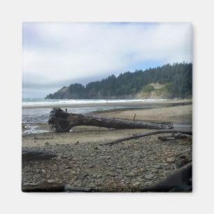 Imã Oswald West State Park, Costa do Oregon