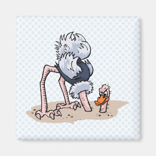 Imã Otto von Avestruz