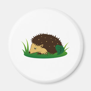 Imã Ouriço hedgehog