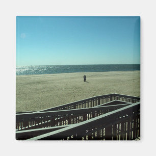 Imã ouriços-do-mar