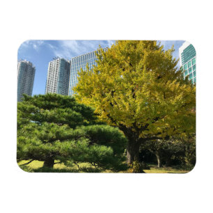 Ímã Ouro Amarelo Ginkgo e Pine Tree