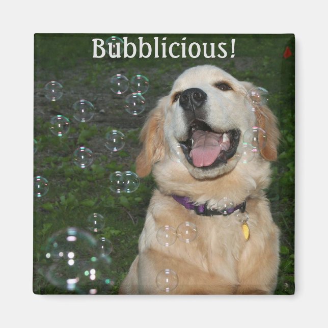 Imã Ouro Bíblico Retriever Puppy (Frente)